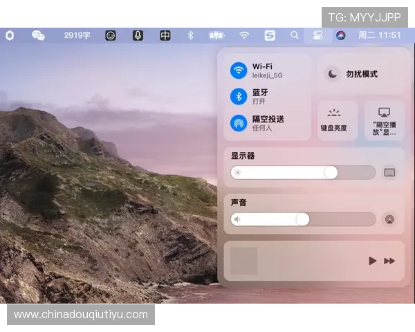 苹果设备上斗球体育直播的安全性分析，保障用户个人信息和观看体验